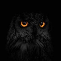 Lantier Patrick (@lantierpatrick) 's Twitter Profile Photo