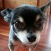 @lckwd.bsky.social 🌎🦉🐳 🐶 🦊 🇺🇦 🇺🇸 🍀 🇨🇦 (@lckwd) Twitter profile photo @lckwd.bsky.social 🌎🦉🐳 🐶 🦊 🇺🇦 🇺🇸 🍀 🇨🇦 (@lckwd) Twitter profile photo