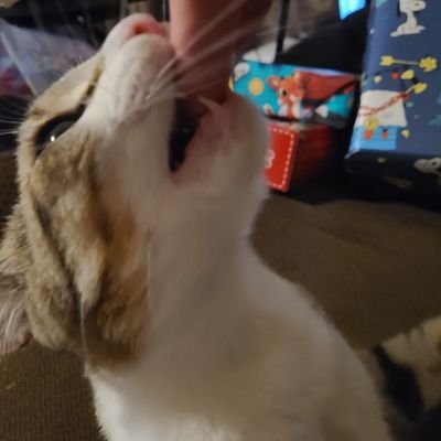 Tam91361242's profile picture. 