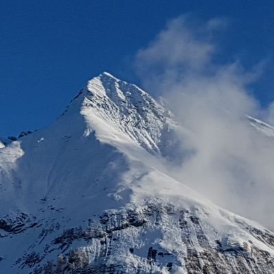 contessaRosie's profile picture. 