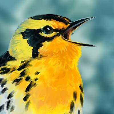 Discover the beauty of bird songs through podcasts, audiobooks, and nature livestreams from the Great Lakes region.

#birdsong #birds #birding #podcast