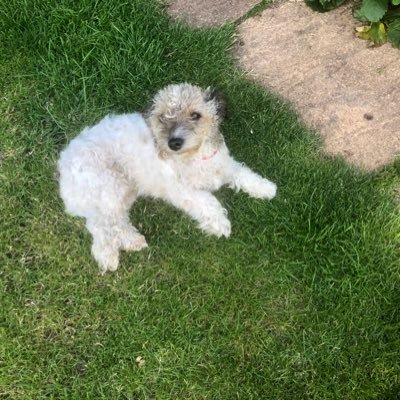 Pauline39330679's profile picture. 