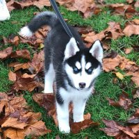 Karen Elliott💙 (@karenel71146233) 's Twitter Profile Photo Karen Elliott💙 (@karenel71146233) 's Twitter Profile Photo