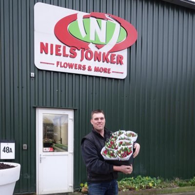 Grower-Vegetable Seeds-Peony-Tulip-father of Klaas & Neeltje-heerhugowaard-‘t Kruis-1983-Volvo-flowers & more