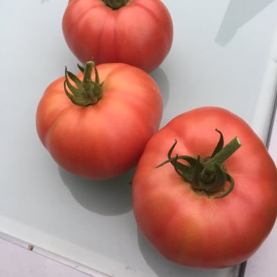 PeterGarnham's profile picture. Editor and writer