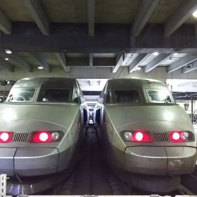 tongann45's profile picture. 