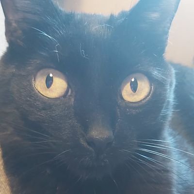 celdimart's profile picture. sommelieriando por la vida