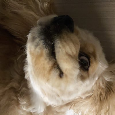 nakasuum1's profile picture. 