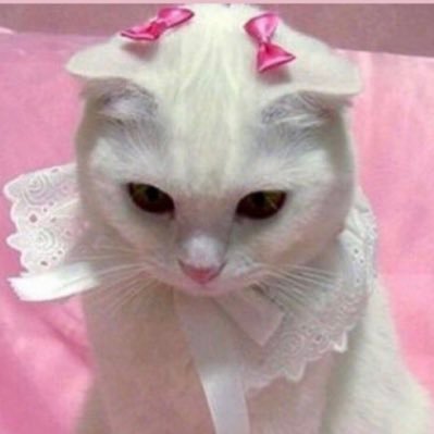 izzyさんのプロフィール画像