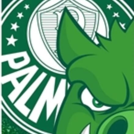 #Palmeiras

#AvantiPalestra