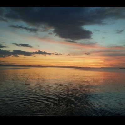 lilianaperezc's profile picture. 