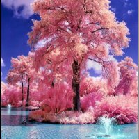 ود الغيمة|☁️⚖️ (@wed_2004) 's Twitter Profile