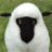 tomotsukaO's profile image