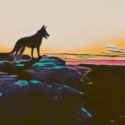 Dog walker in the beautiful Northumberland hills. A range of dog greetings cards 🌟 https://t.co/mGjhPfT6vT 🙂🐾