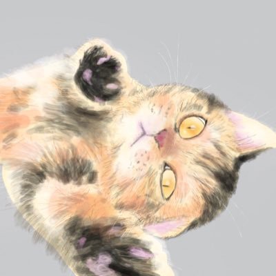 SUNさんのプロフィール画像