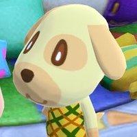 caramel (@totoco_1111) 's Twitter Profile
