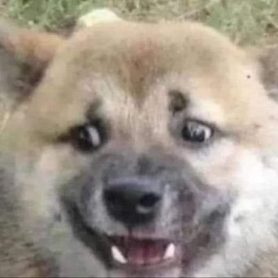 universe061808's profile picture. 