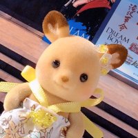 みみかにゃ🐱 (@tshoo_kun) 's Twitter Profile