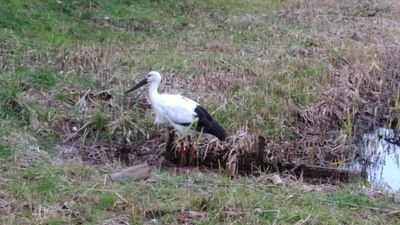 PCgl8wODjyn4gFL's profile picture. 