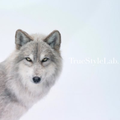 Truestylelab Profile Picture