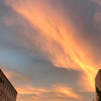 ayuzaku2020's profile picture. 