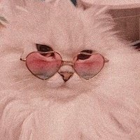 meris drop era (@meristrade) 's Twitter Profile Photo meris drop era (@meristrade) 's Twitter Profile Photo