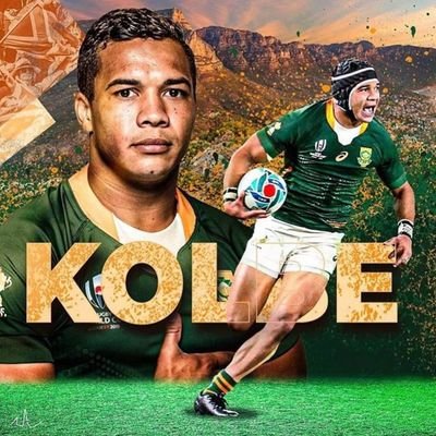 Cheslin Kolbe Profile