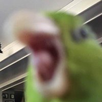 Moofish (@teh_moofish) 's Twitter Profile