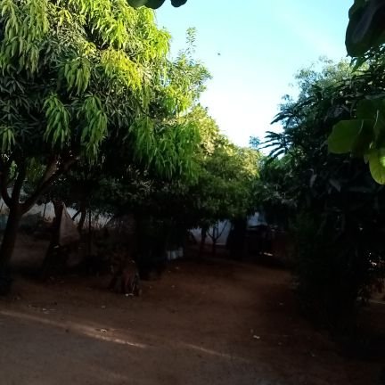 AfricapaixBalde's profile picture. L'amour que j'ai pour mon prochain