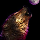 felipe - @santos_tenorio - Twitter