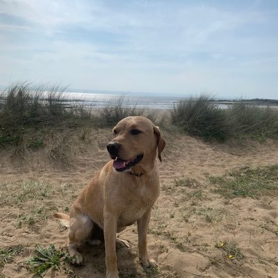 Ricemichael4Ok's profile picture. 