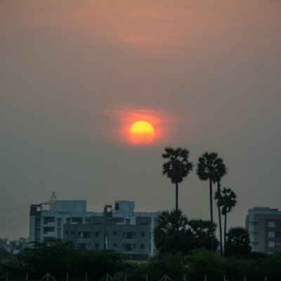 Maanikyam2's profile picture. Simple
