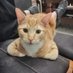 Nounouille 🐾🐱& Gimli le Goulu 🐾🐈 (@ratarsouille) Twitter profile photo Nounouille 🐾🐱& Gimli le Goulu 🐾🐈 (@ratarsouille) Twitter profile photo