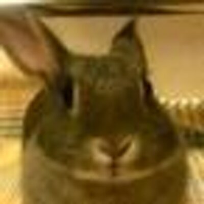 romeme's profile image