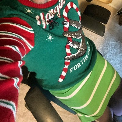 bebe_benna's profile picture. aspiring seamstress | computer wiz | socialist | they/them