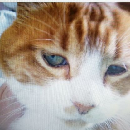 pianist53650502's profile picture. 