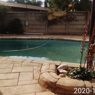 Nkele57914236's profile picture. too nice❤️