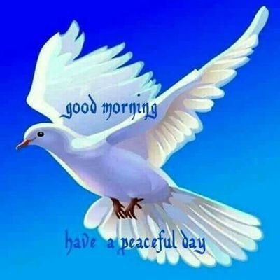 85aggarwal's profile picture. 