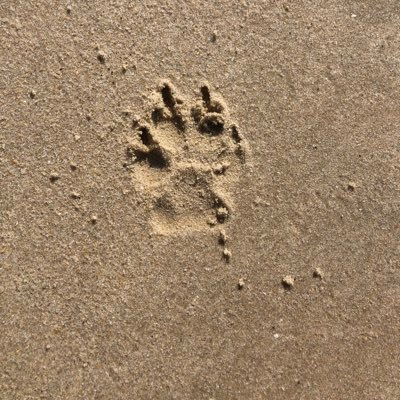 devil_wdz's profile picture. 贪财好色，凡夫俗子！好好的活着！