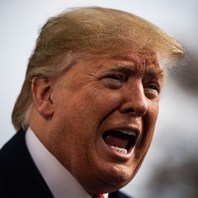 StopTheSquealer's profile picture. The people have spoken! YOU LOSE! Get out of OUR White House! 

Never forget January 6th 2021 as the day that Trump's treasonous coup and insurrection FAILED!