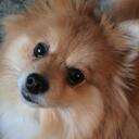 Patti Day - @Paddecakes55 - Twitter