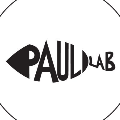 PauliGroup Profile Picture