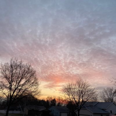 econotpop's profile picture. 