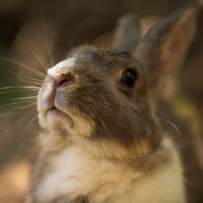 Sentyou_jack's profile picture. VMG/ZN8/ドライブ/洗車/カフェ巡り/20240714 8B style 行きます