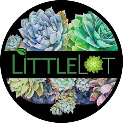 LittleLot