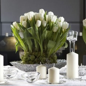 BlancheSister's profile picture. 