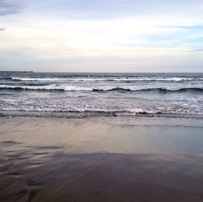 heat_mm's profile picture. dbd