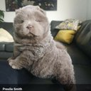 Terry Wayne - @TerryWa03319222 - Twitter