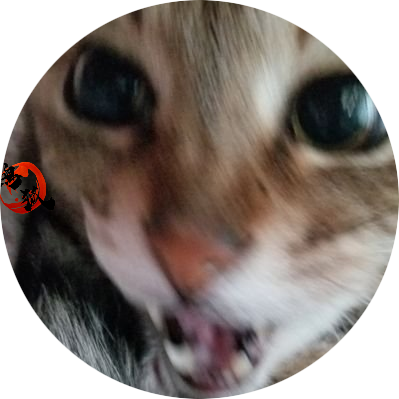 もへじ 暫く低浮上 Henoheno8019 Twitter