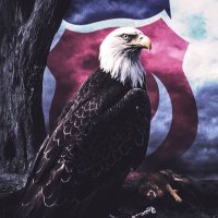 iszr🦅 (@ihsansszr) 's Twitter Profile